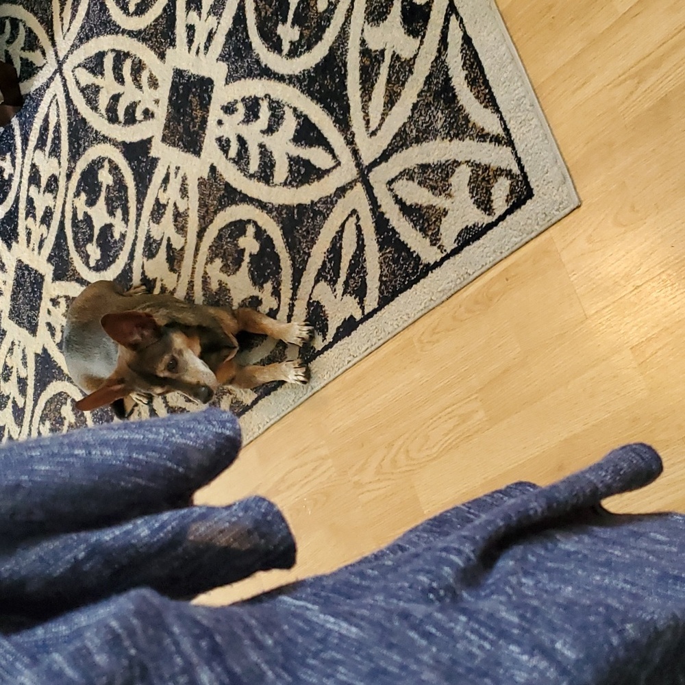 Lularoe Lindsay Kimono - Picture 6 of 7